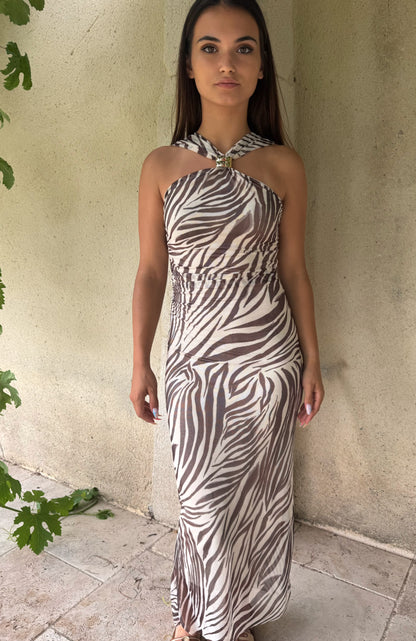 Robe zèbre