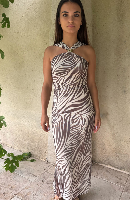 Robe zèbre